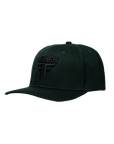 FALLEN HAT INSIGNIA CURVE