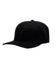 FALLEN HAT INSIGNIA CURVE